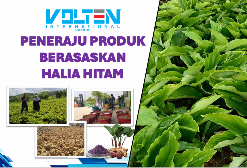 Testimoni