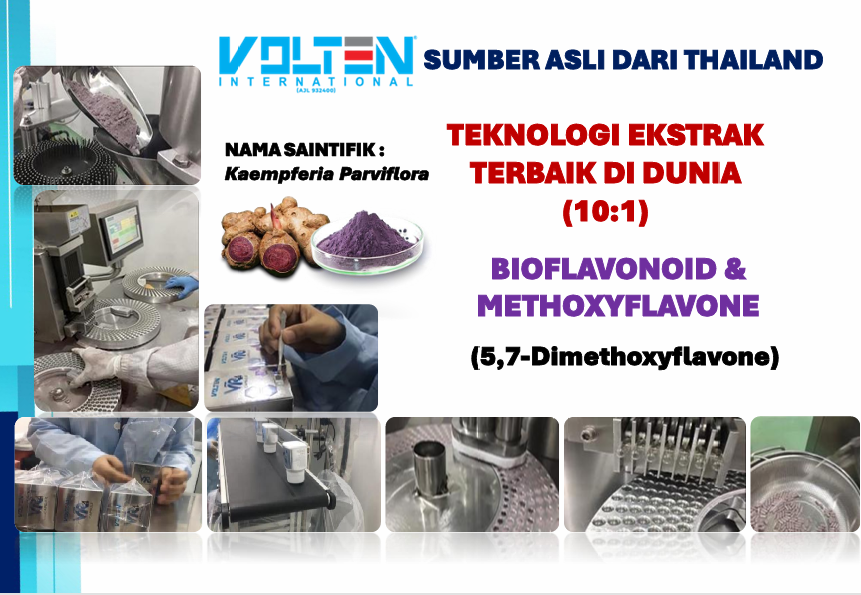 company profile